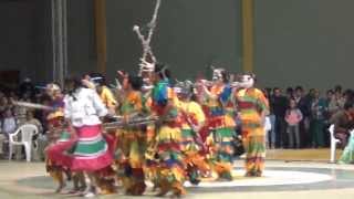 Danza Los Matachines del Tolima Sesquilé Cundinamarca 2012 [upl. by Robinett]