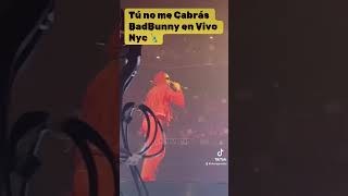 ‘ tu no metes Cabrá ‘ badbunny en vivo 2024🗽 [upl. by Esimaj]