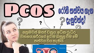 PCOS treatment sinhala  Polycystic ovarian syndrome  Sinhala medical channel [upl. by Croom]