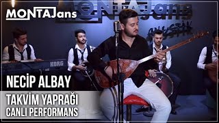 Necip Albay  Takvim Yaprağı Canlı Performans [upl. by Olrac]