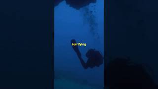 Horrible Diving Incident Byford Dolphin Decompression horrorstories scarystories scary [upl. by Anastatius]