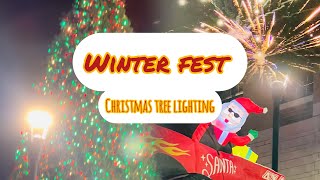 Winter fest  Christmas Parade  Christmas tree lighting [upl. by Anividul]