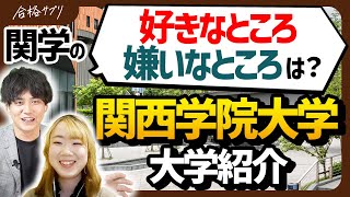 【関西学院大学】一般入学者は肩身が狭い？関学の大学生活を徹底紹介 [upl. by Stahl433]