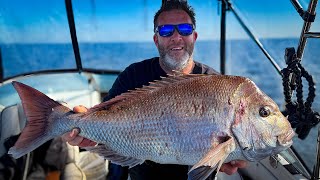 Port Phillip Snapper Early Season 101  Like a Boss [upl. by Salahcin]