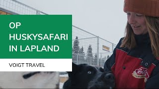 Op huskysafari in Lapland  Voigt Travel [upl. by Joseito]