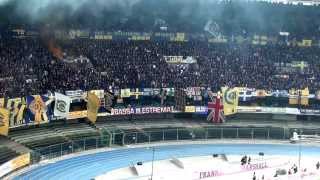 hellas verona vs napoli curva sud universita del tifo [upl. by Notsniw400]