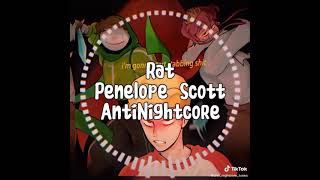 Rat Penelope Scott AntiNightcore [upl. by Ahsinirt]