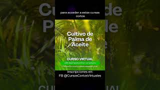 Cursos Cortos Virtuales SENA Sofia Plus shortsvideo [upl. by Ylrebmik]