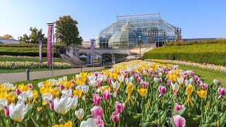 Welcome to Phipps Conservatory and Botanical Gardens [upl. by Bellina]