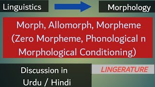 Morph  Allomorph  Morpheme  Zero Morpheme  phonological n Morphological Conditioning [upl. by Naniac]