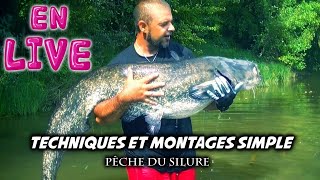 PËCHE du SILURE  TECHNIQUES et MONTAGES SIMPLE [upl. by Aerahs946]