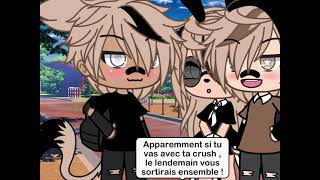 ✨La pluie d’étoile filante✨ No originalFeat des gens [upl. by Llennor]