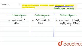 On the basis of cell wall differentiate between parenchyma  collenchyma and sclerenchyma  9 [upl. by Beaufert602]