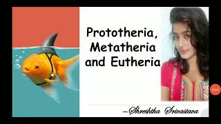 biology science gicmains upsc Prototheria Metatheria and Eutheria [upl. by Kale]