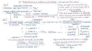 KANT Fundamentación de la metafísica de las costumbres Español [upl. by Morna]