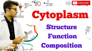 Cytoplasm  Structure  Composition  Function [upl. by Eivol]