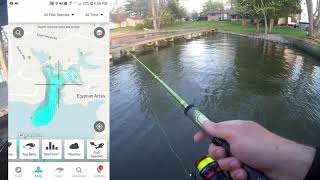 Find Crappie Fishing Spots with your Phone Spawning Crappie [upl. by Earley]