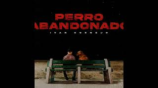 Perro Abandonado  Ivan Cornejo Slowed amp Reverb [upl. by Linker]