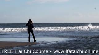 Tai Chi Short Form [upl. by Errick]