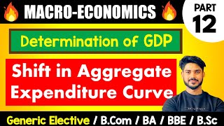 Shift in Aggregate Expenditure Function amp Impact on GDP  GDP Determination  Two Sector  Short Run [upl. by Delcine]