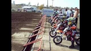 50cc Pee Wee Motocross Race [upl. by Jarvis]