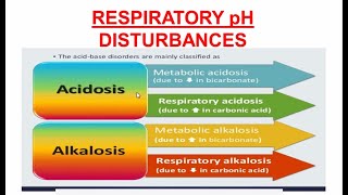 Respiratory Acidosis and Alkalosis  Respiratory pH Disturbances [upl. by Sorci874]