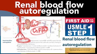 Renal blood flow autoregulation in HindiUrdu by first aid for USMLE step 1 [upl. by Drahnreb]