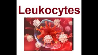 Leukocytes structure and functions  2024 [upl. by Housen]