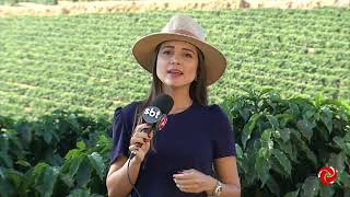 Expozebu maior feira de raças do mundo em Uberaba [upl. by Teews]