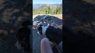 Flying at the Sanger Peak trail head [upl. by Ozner]