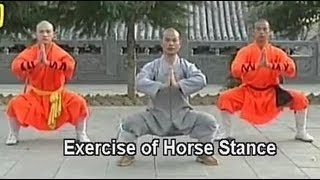 Shaolin Kung Fu basic moves [upl. by Vookles]