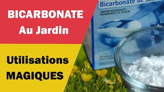 Les Utilisations Magiques du Bicarbonate au Jardin [upl. by Rechaba]