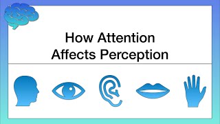 How Attention Affects Perception [upl. by Cogswell]