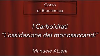 Lossidazione monosaccaridi  L12 [upl. by Attebasile]