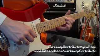 Mark Knopfler Tribute  Beryl [upl. by Aiciles]