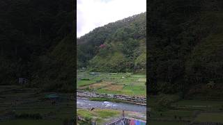 new Zealand of Bontoc Mountain province trending newzealand youtubeshorts youtube viralvideo [upl. by Lleder]