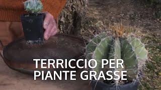 Terriccio per piante grasse [upl. by Coletta]