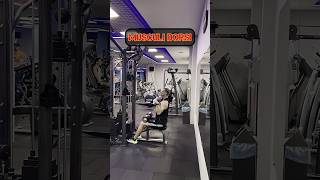 WideGrip Lat Pulldown [upl. by Sylvanus180]