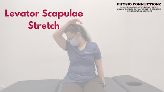 Levator Scapulae Stretch [upl. by Loralie]