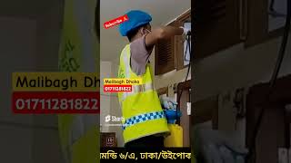 Malibagh Dhaka উইপোকা তেলাপোকা দমন PestControlbd termitecontrol cockroachcontrol nearpest [upl. by Aidin518]