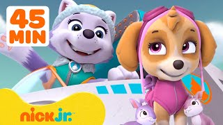 PAW Patrol Everest Rescues Skye amp More Adventures w Chase  45 Minute Compilation  Nick Jr [upl. by Ecela]