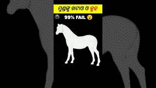 🐎ଏହାକୁ କେବଳ ବୁଧିମାନ ଲୋକ ହିଁ 😯  fact in odia fact animals amazingfacts horse viralshort [upl. by Ballman310]