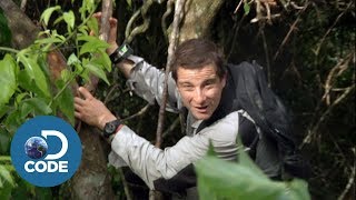 Bear Grylls in Borneo Jungle  Man vs Wild 16 [upl. by Anilehcim582]