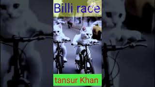 Billi race tansur hiphop 😁😁 [upl. by Izabel550]