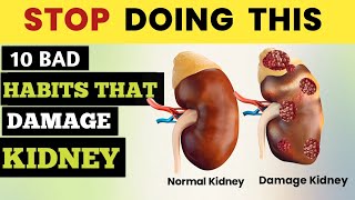 Top 10 Kidneys Damaging Bad Habits  बुरी आदतें जो किडनी खराब करती है [upl. by Li]