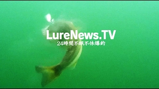 LureNewsTV（ルアーニュースTV） [upl. by Lurleen]