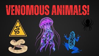 10 CRAZY Venomous Animals [upl. by Nelly]