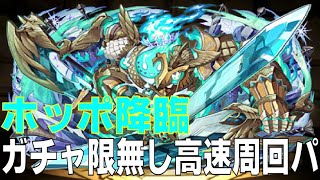 ホッポ降臨 ガチャ限無しソロ高速周回編成パズドラパズルampドラゴンズPUZZLEampDRAGONS [upl. by Gwyneth]