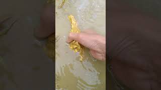 big gold discovery that many people are looking for goldhunter miner [upl. by Thema]