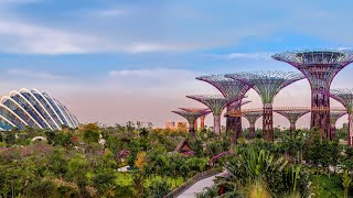 Gardens by the Bay Singapore 싱가포르 가든스바이더베이 [upl. by Maegan]